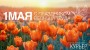 Поздравляем с праздником весны и труда!