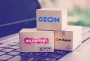 Рост аудитории Ozon и Wildberries замедлился до 3%