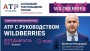Закрытая рабочая встреча АТР с руководством Wildberries