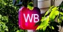 В Петербурге рассказали о поддержке бизнеса, пострадавшего от атак на WB