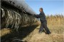 Посевные площади технической конопли в России сократились на 30,9 процентов 