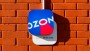 Ozon предложил размещать товары в Казахстане для продажи в России